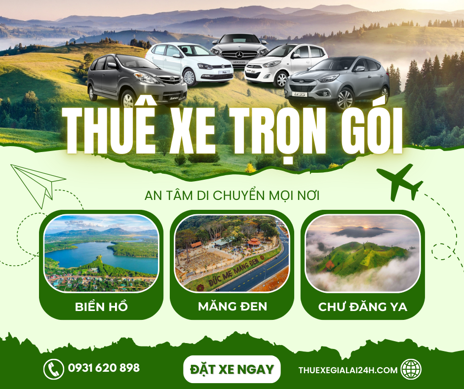 xe dịch vụ gia lai